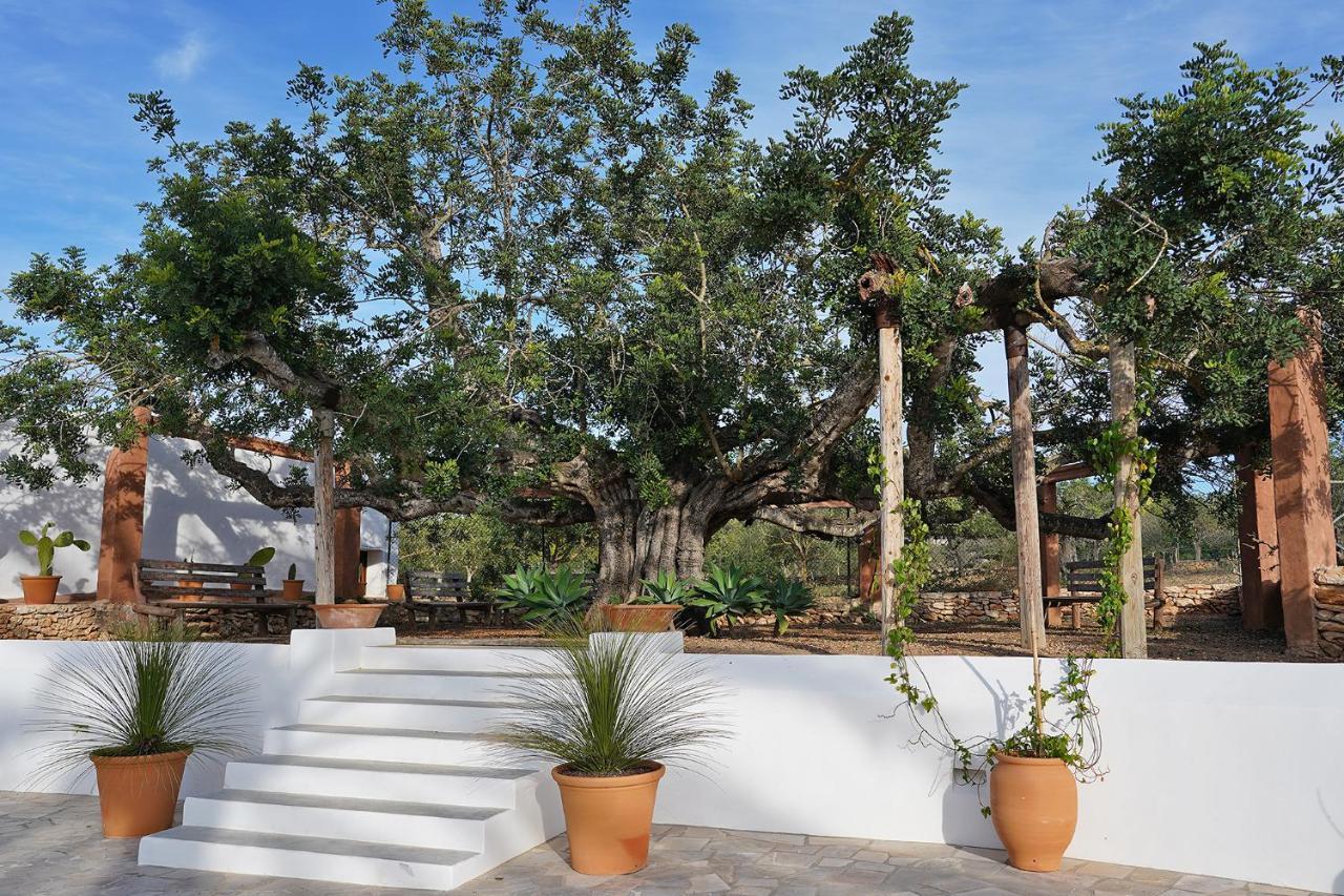 Villa Can Vicent San Antonio Abad Exterior foto